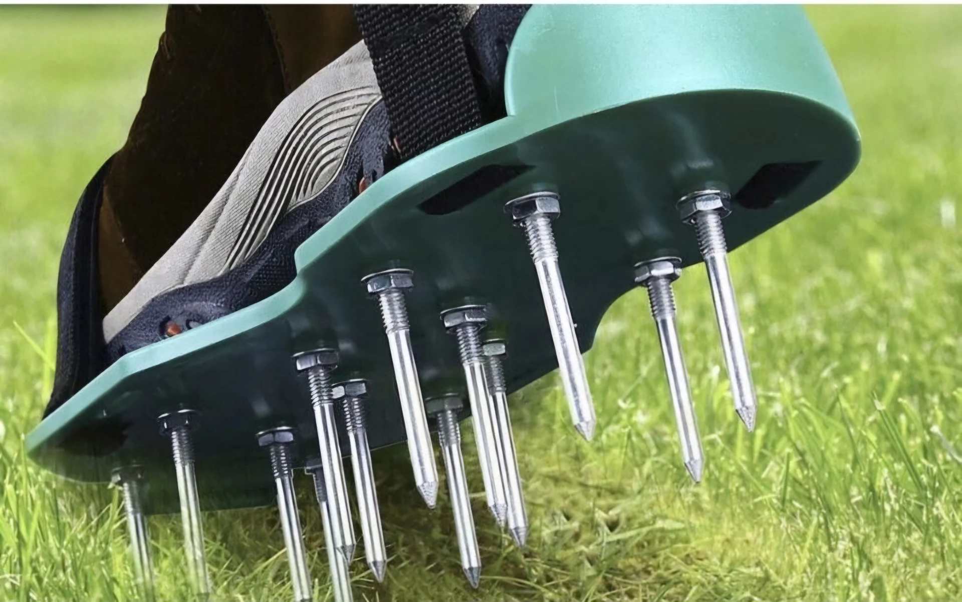 Aerator 